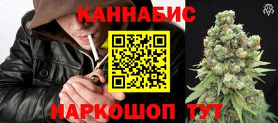 индика Нягань