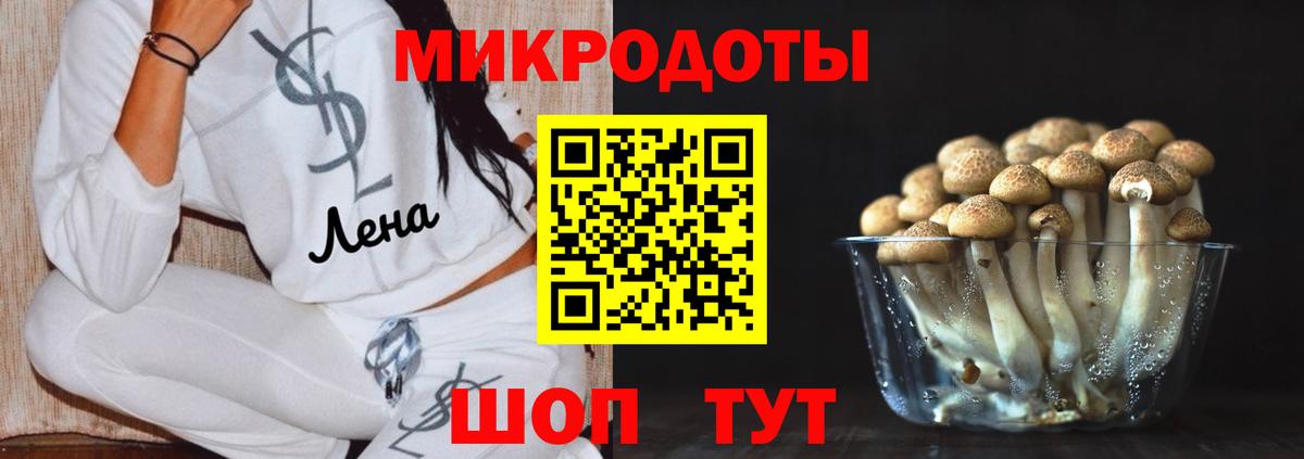 Псилоцибиновые грибы мицелий Сальск